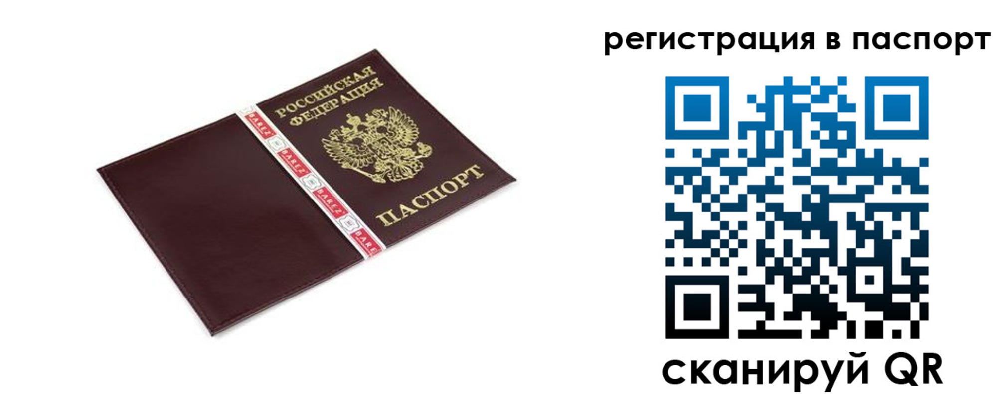 пропишу в квартире в Купино